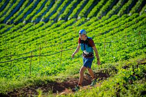 BIB: 
                            <button type="button" onclick="openModal(19160413)" class="btn btn-primary btn-sm float-right btn-popup" data-toggle="modal" data-target=".modal-high-quality">
                        <i class="fas fa-shopping-cart"></i> Add to Cart
                    </button>
                                            <button type="button" onclick="isThisMe(19160413, true)" class="btn btn-success btn-sm float-right btn-popup btn-isme hidden" data-toggle="tooltip" data-placement="bottom" title="นี่คือรูปของคุณใช่ไหม คลิกที่นี่เพื่อเอาเข้าอัลบั้ม">
                        <i class="fas fa-plus"></i> Add to album
                    </button>
                    <button type="button" onclick="isThisMe(19160413, false)" class="btn btn-warning btn-sm float-right btn-popup btn-isnotme hidden">
                        <i class="fas fa-ban"></i> Remove from album
                    </button>